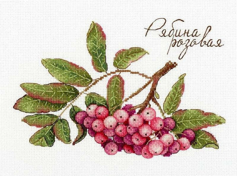 Cross Stitch Kit Gifts of Nature. Pink Rowan SNV-693