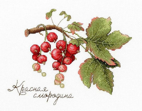 Cross Stitch Kit Gifts of Nature. Red Currant SNV - 695 - Hobby.lt 🇬🇧