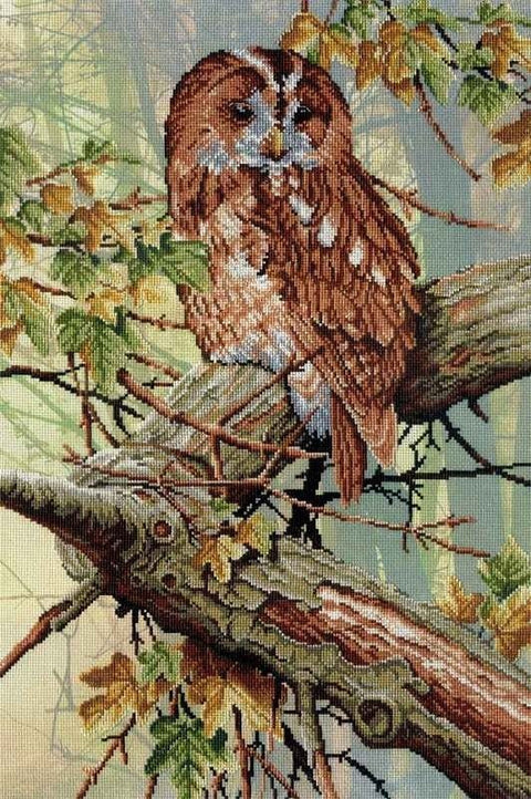 Cross Stitch Kit In Forest Lace SRK - 498 - Hobby.lt 🇬🇧