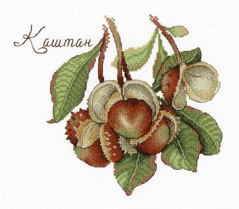 Cross Stitch Kit Nature Gifts. Chestnut SNV - 672 - Hobby.lt 🇬🇧