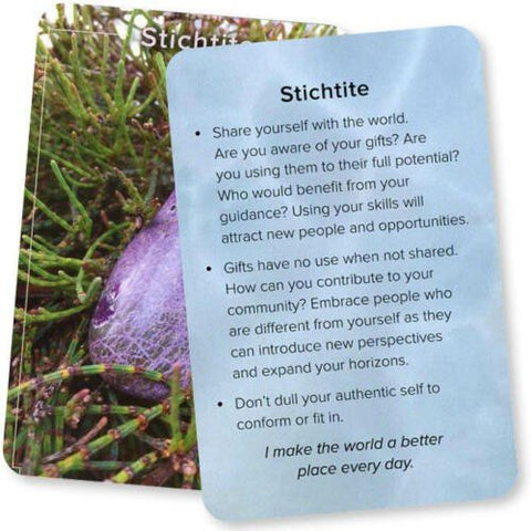 Crystal Connections Message Cards Animal Dreaming - Hobby.lt 🇬🇧