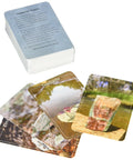 Crystal Connections Message Cards Animal Dreaming - Hobby.lt 🇬🇧