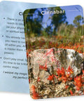 Crystal Connections Message Cards Animal Dreaming - Hobby.lt 🇬🇧