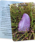 Crystal Connections Message Cards Animal Dreaming - Hobby.lt 🇬🇧