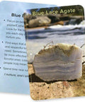 Crystal Connections Message Cards Animal Dreaming - Hobby.lt 🇬🇧