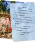 Crystal Connections Message Cards Animal Dreaming - Hobby.lt 🇬🇧