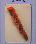 Crystal Deva Cards World Tree Press - Hobby.lt 🇬🇧