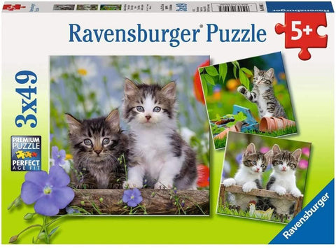 Cuddly Kittens - Puzzle 3X49 - Hobby.lt 🇬🇧