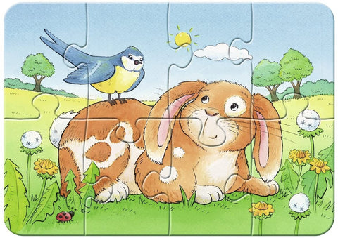 Cute Pets Jigsaw Puzzle