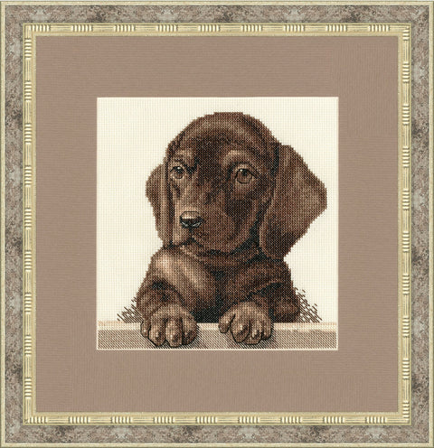 Dachshund S/NL041