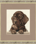 Dachshund S/NL041 - Hobby.lt 🇬🇧