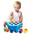 Daisy - Shape Sorter - Hobby.lt 🇬🇧