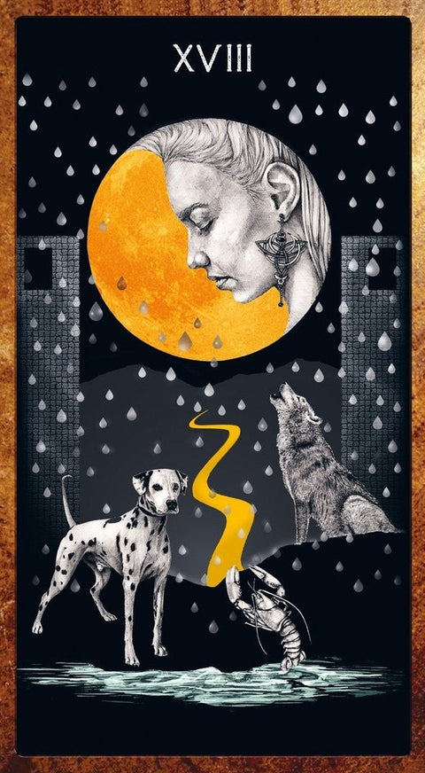 Dancing In The Dark Tarot Cards Lo Scarabeo - Hobby.lt 🇬🇧