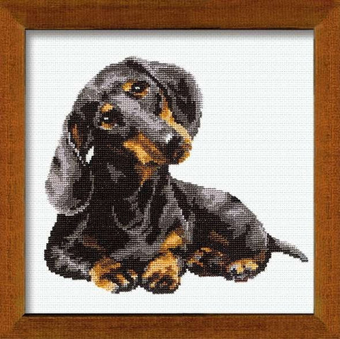 Daschound - Cross Stitch Kit from RIOLIS Ref. no.:906 - Hobby.lt 🇬🇧