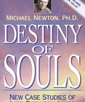 Destiny of Souls book Llewellyn - Hobby.lt 🇬🇧