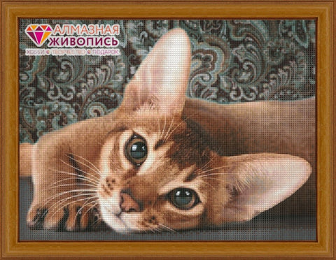 Diamond painting Abyssinian cat AZ-1458 Size: 40х30