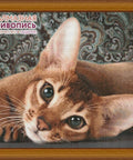 Diamond painting Abyssinian cat AZ - 1458 Size: 40х30 - Hobby.lt 🇬🇧
