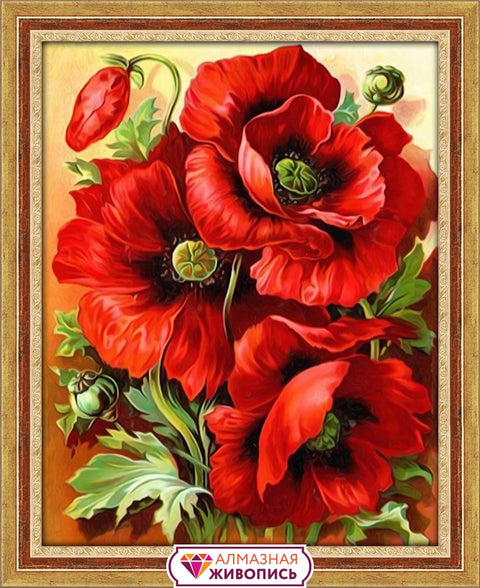 Diamond painting Bright Poppies AZ-1135 Size: 30х38