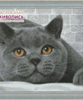 Diamond painting British Cat AZ - 1463 Size: 40х30 - Hobby.lt 🇬🇧