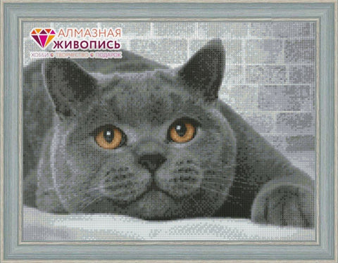Diamond painting British Cat AZ - 1463 Size: 40х30 - Hobby.lt 🇬🇧
