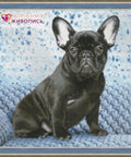 Diamond painting Bulldog AZ - 1459 Size: 40х40 - Hobby.lt 🇬🇧