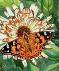 Diamond painting Butterfly on the Flower AZ - 1205 Size: 50х40 - Hobby.lt 🇬🇧