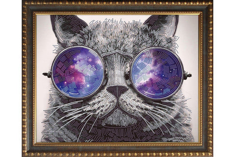 Diamond painting Cat with Glasses AZ - 3003 Size: 40х50 - Hobby.lt 🇬🇧