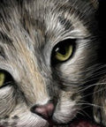 Diamond painting Cats Eyes AZ - 1184 Size: 50х35 - Hobby.lt 🇬🇧