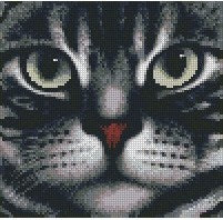 Diamond painting Cats Face AZ-1085 Size: 24х25