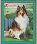 Diamond painting Colly AZ - 1464 Size: 30х40 - Hobby.lt 🇬🇧