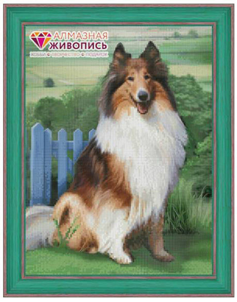 Diamond painting Colly AZ - 1464 Size: 30х40 - Hobby.lt 🇬🇧