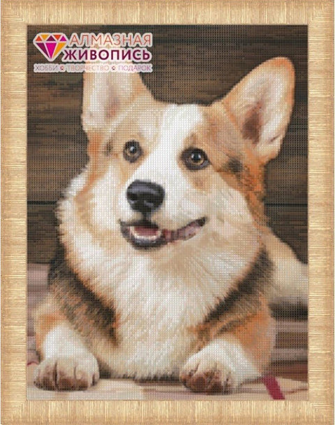 Diamond painting Corgy AZ - 1466 Size: 30х40 - Hobby.lt 🇬🇧