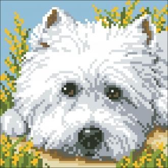 Diamond painting Cuty Puppy AZ-317 Size: 18х18