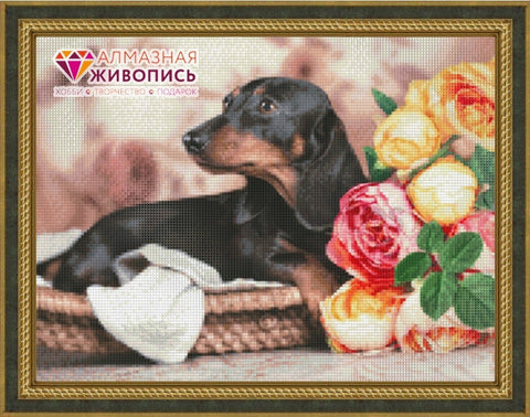 Diamond painting Dachshund AZ-1457 Size: 40х30