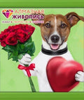 Diamond painting Dog with Flowers AZ - 1308 Size: 25х25 - Hobby.lt 🇬🇧