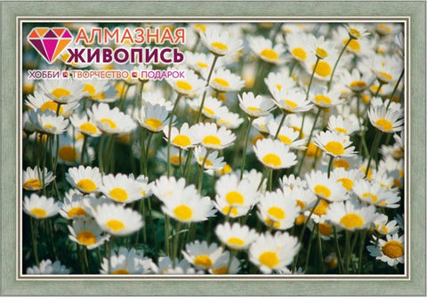 Diamond painting Field Chamomilies AZ - 505 Size: 75х50 - Hobby.lt 🇬🇧