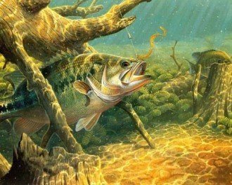 Diamond painting Fishing time AZ - 1145 Size: 50х40 - Hobby.lt 🇬🇧