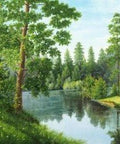 Diamond painting Forest River AZ - 1243 Size: 55x38 - Hobby.lt 🇬🇧
