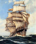 Diamond painting Frigate AZ - 1104 Size: 40х54 - Hobby.lt 🇬🇧