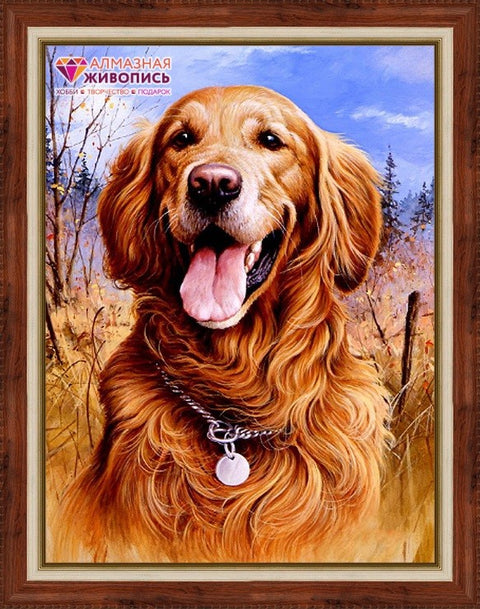 Diamond painting Golden Retriver AZ-1526 Size: 30х40