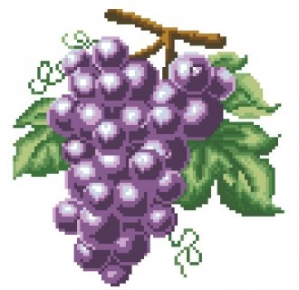 Diamond painting Grapes AZ-131 Size: 25х24