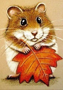Diamond painting Hamster AZ - 1169 Size: 25х35 - Hobby.lt 🇬🇧
