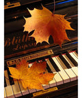 Diamond painting Keyboard AZ - 1164 Size: 40х60 - Hobby.lt 🇬🇧