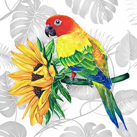 Diamond painting kit A bright parrot 40*40 cm WD2687 - Hobby.lt 🇬🇧