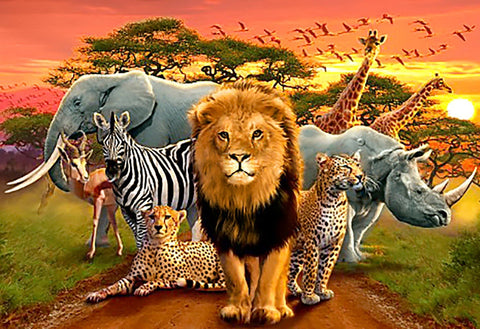 Diamond painting kit African Beasts WD2403 - Hobby.lt 🇬🇧