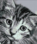 Diamond painting kit Black and White Cat WD213 - Hobby.lt 🇬🇧