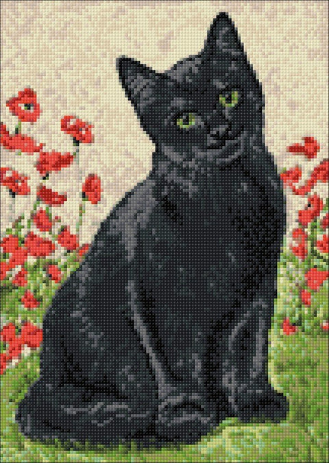 Diamond painting kit Black Kitty WD208 - Hobby.lt 🇬🇧