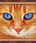 Diamond Painting Kit Blue - Eyed Cat AZ - 1716 40_30cm - Hobby.lt 🇬🇧