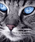 Diamond painting kit Blue - Eyed Cat WD2517 - Hobby.lt 🇬🇧