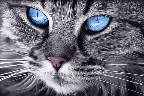 Diamond painting kit Blue - Eyed Cat WD2517 - Hobby.lt 🇬🇧